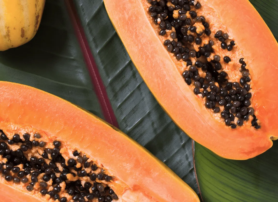 Papaya seed, source of digestive enzymes
